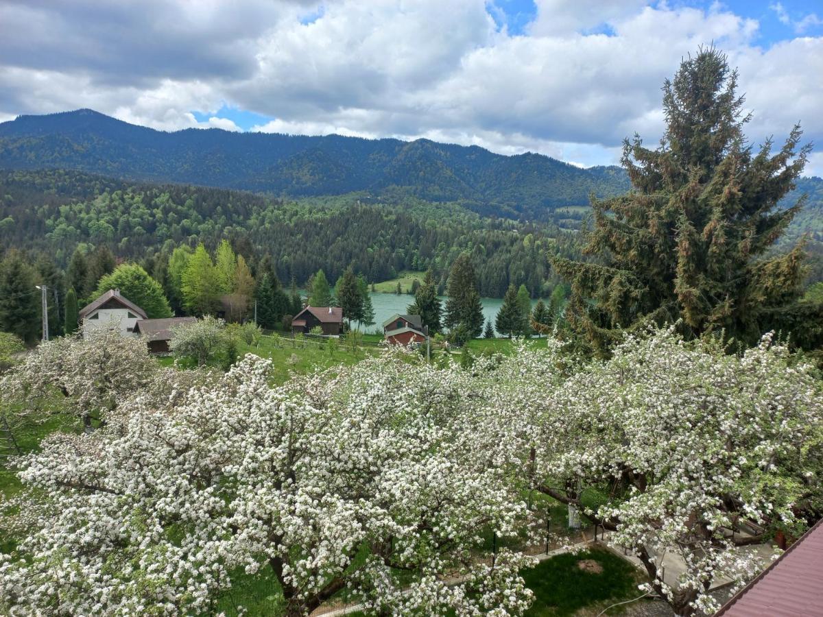 Casa De Vacanta Perla Colibitei Colibiţa Екстериор снимка
