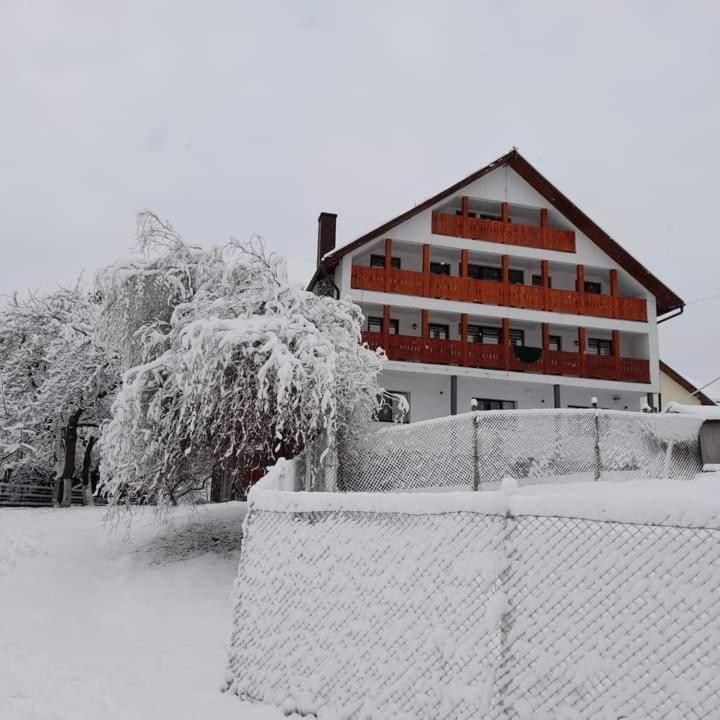 Casa De Vacanta Perla Colibitei Colibiţa Екстериор снимка